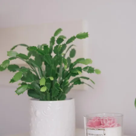 Casa Bella Lägenhet *